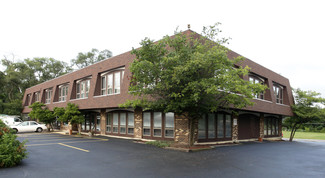 More details for 95 W Grand Ave, Lake Villa, IL - Office for Rent