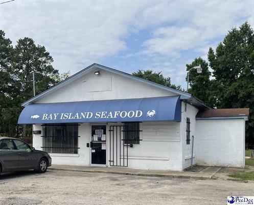 1316 S Main St, Darlington, SC for sale - Primary Photo - Image 1 of 1