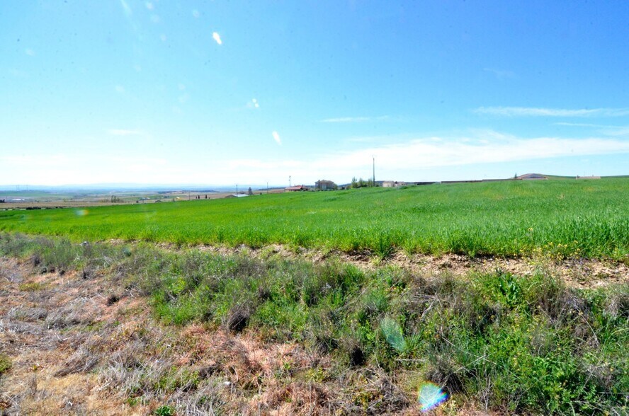 Land in Terradillos, Salamanca to rent - Building Photo - Image 3 of 8