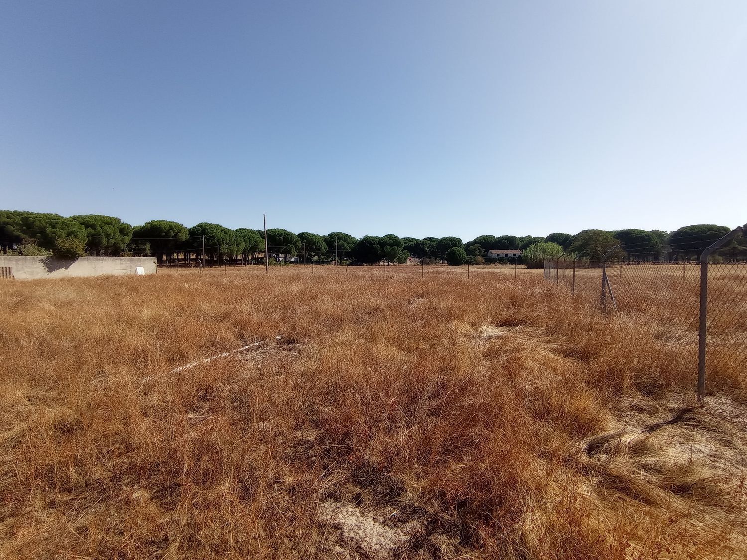 Calle de la Cañada la Nava del Pinar, 10A, Laguna de Duero, Valladolid for sale Primary Photo- Image 1 of 17