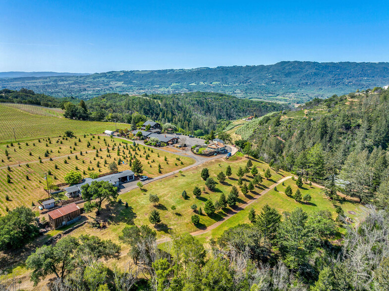 1550 Moon Mountain Rd, Sonoma, CA for sale - Aerial - Image 1 of 1