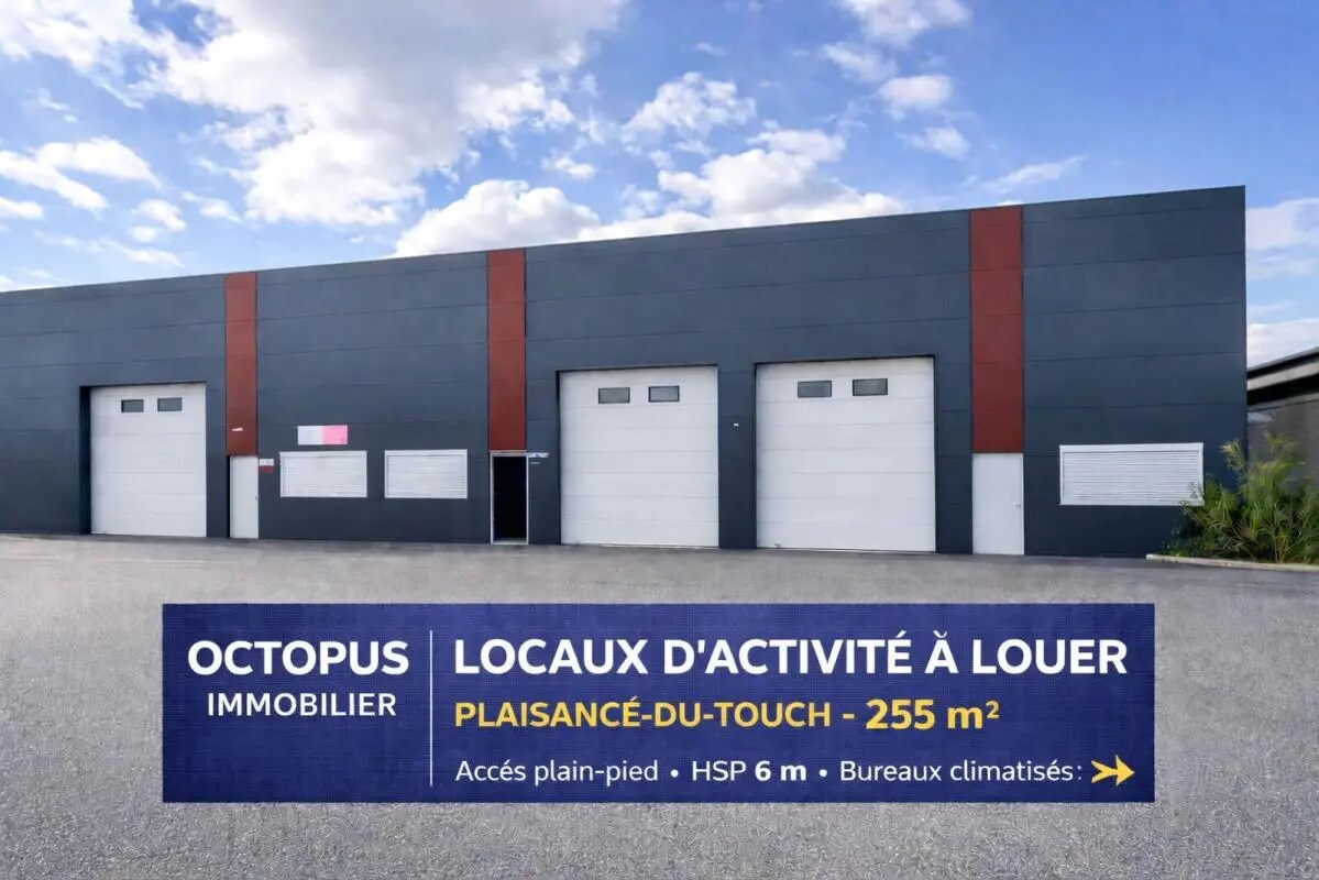 14 Rue Gaspard-Gustave Coriolis, Plaisance-du-Touch to rent Building Photo- Image 1 of 10