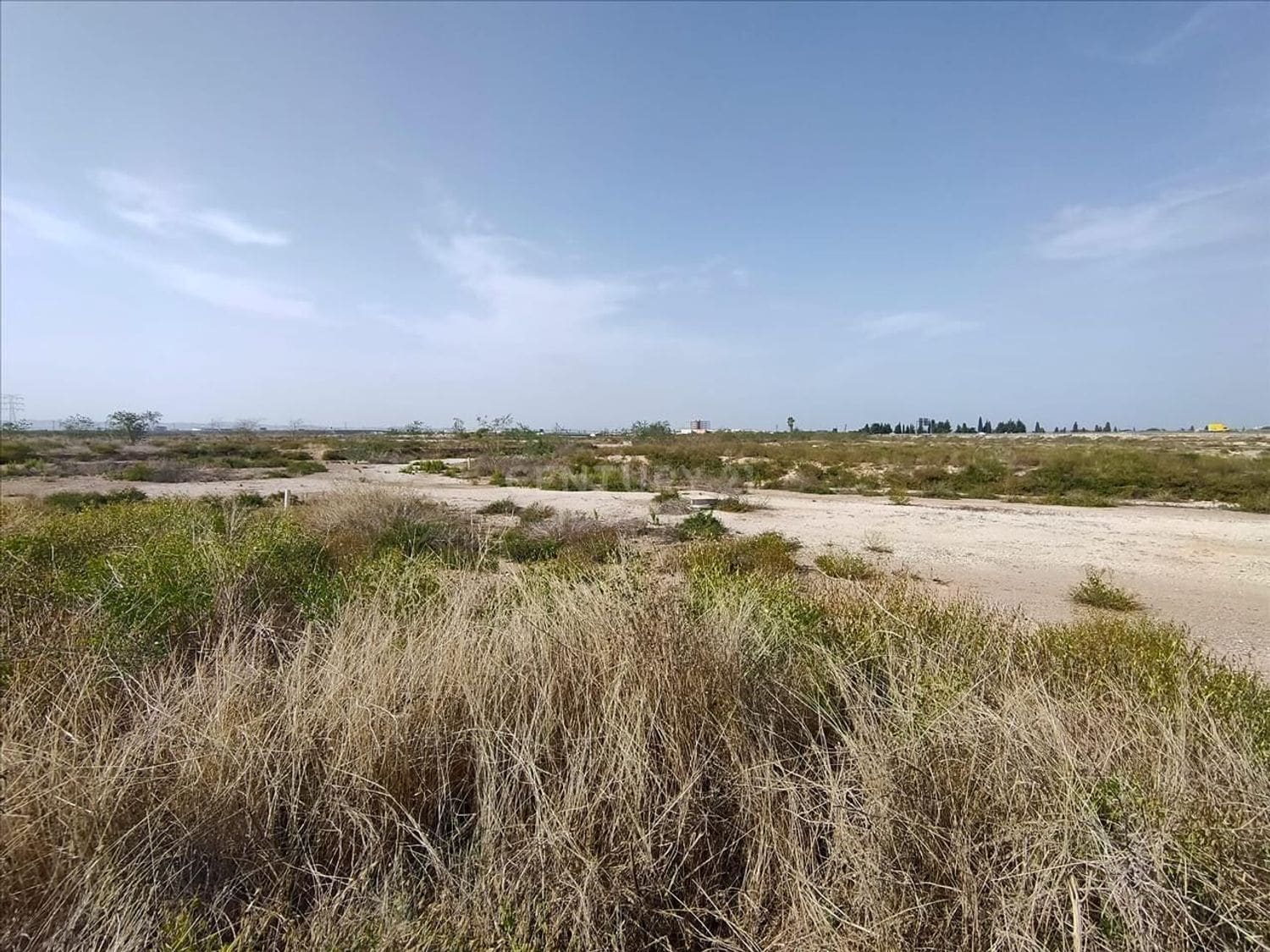 Diseminado Camino Escobera, 1, Murcia, Murcia for sale Site Plan- Image 1 of 8