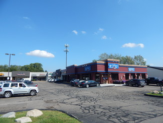 More details for 3958 Rochester Rd, Troy, MI - Retail for Rent