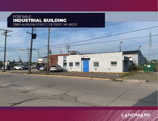 More details for 12801 Auburn St, Detroit, MI - Industrial for Sale