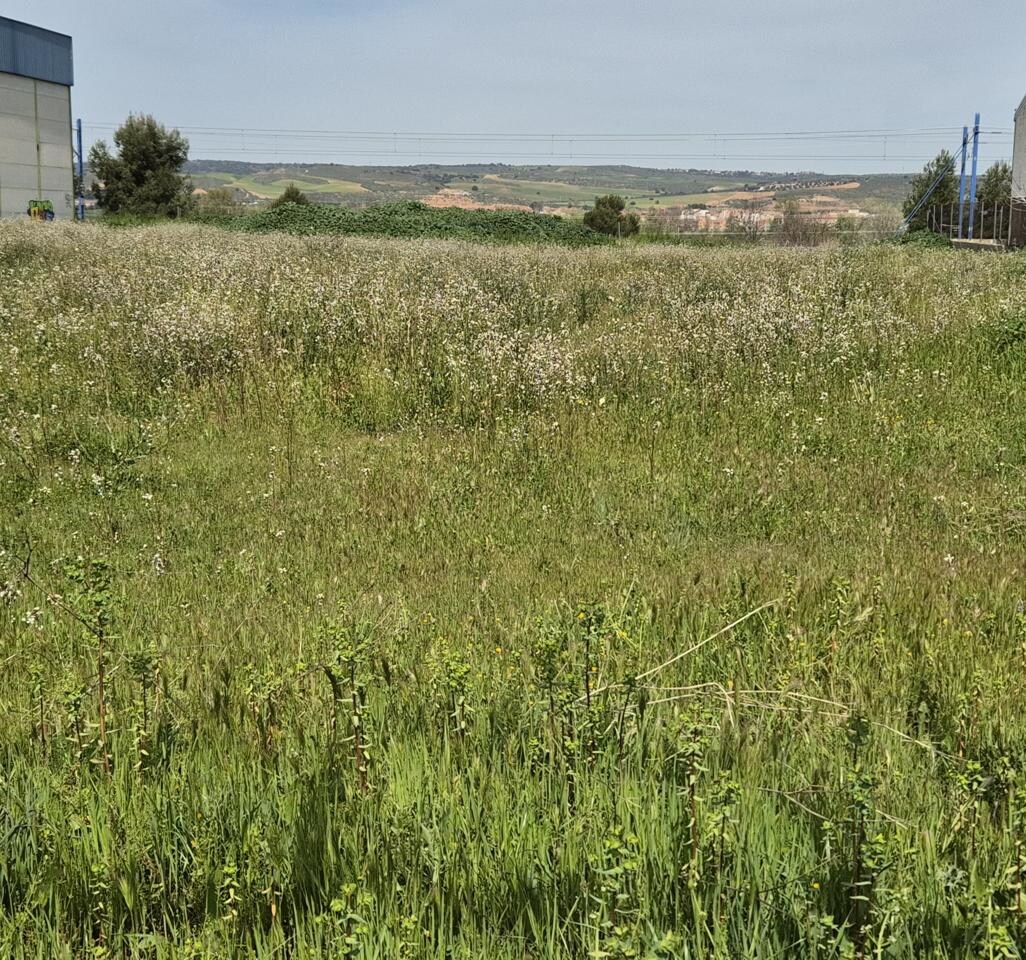 Land in Toledo, Toledo for sale Primary Photo- Image 1 of 2