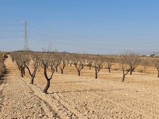 More details for Land for Sale