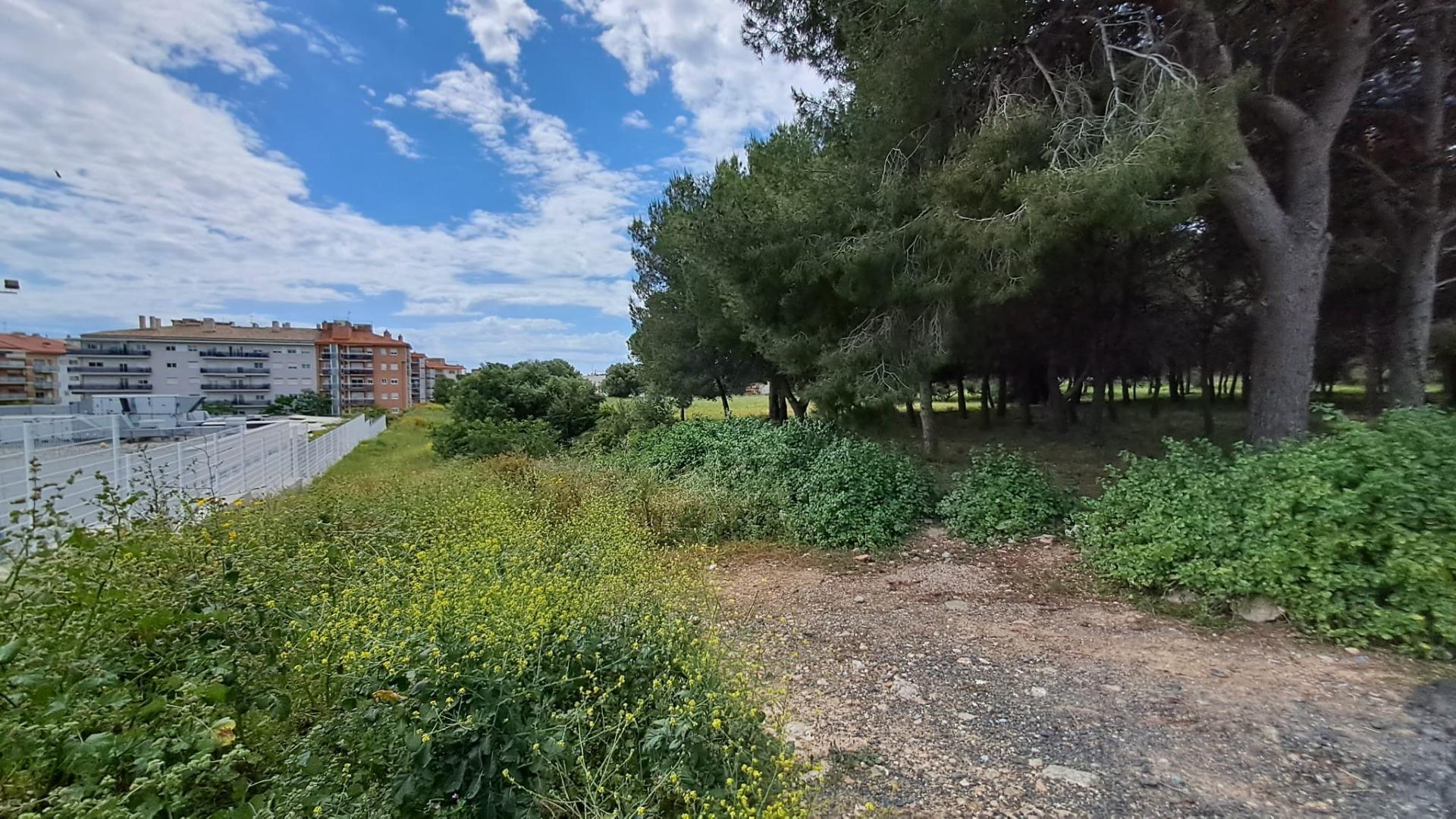 Land in Tarragona, Tarragona for sale Primary Photo- Image 1 of 6