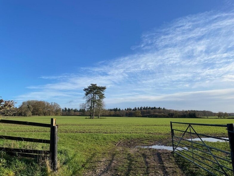 Rotten Row, Henley On Thames to rent - Other - Image 2 of 2