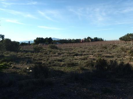 Land in Molina de Segura, Murcia for sale - Site Plan - Image 2 of 4