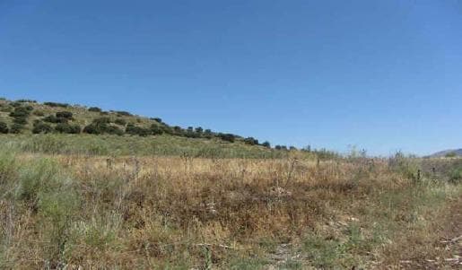 Land in Atarfe, Granada for sale - Site Plan - Image 3 of 9