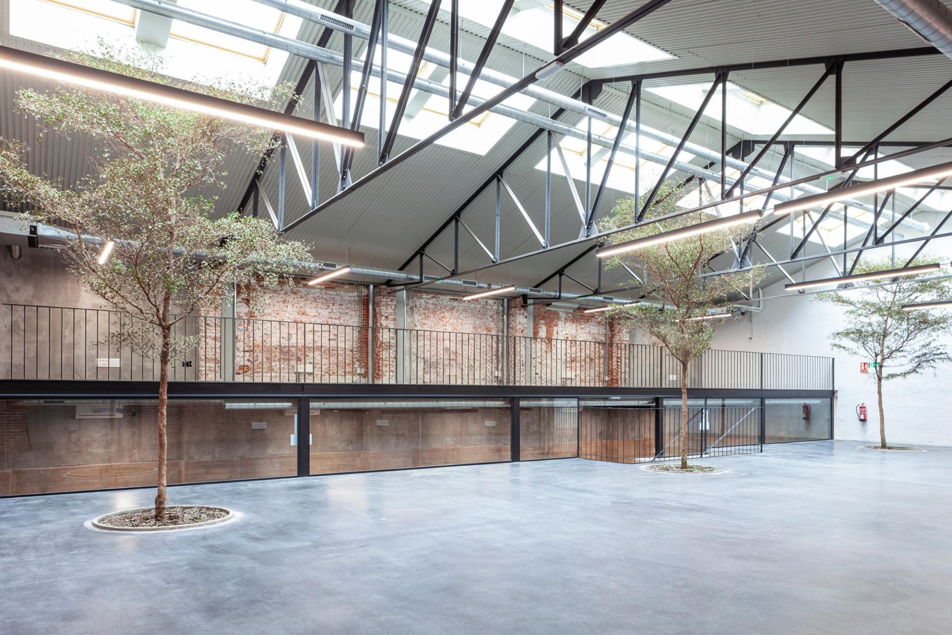 Office in Madrid, Madrid to rent Primary Photo- Image 1 of 4