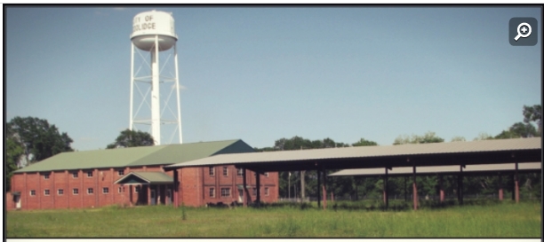 1082 N Mamie St, Coolidge, GA for sale - Primary Photo - Image 1 of 1