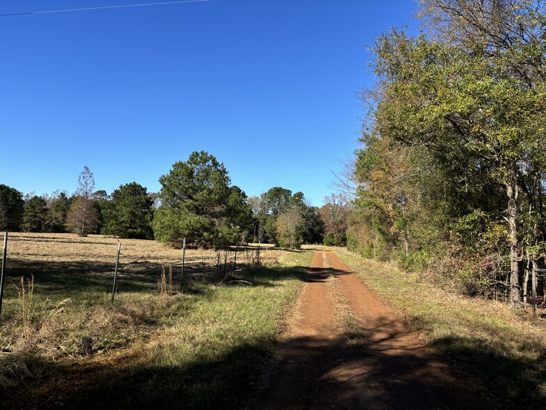 133 Scroggins Ln, Marietta, TX for sale - Other - Image 3 of 14