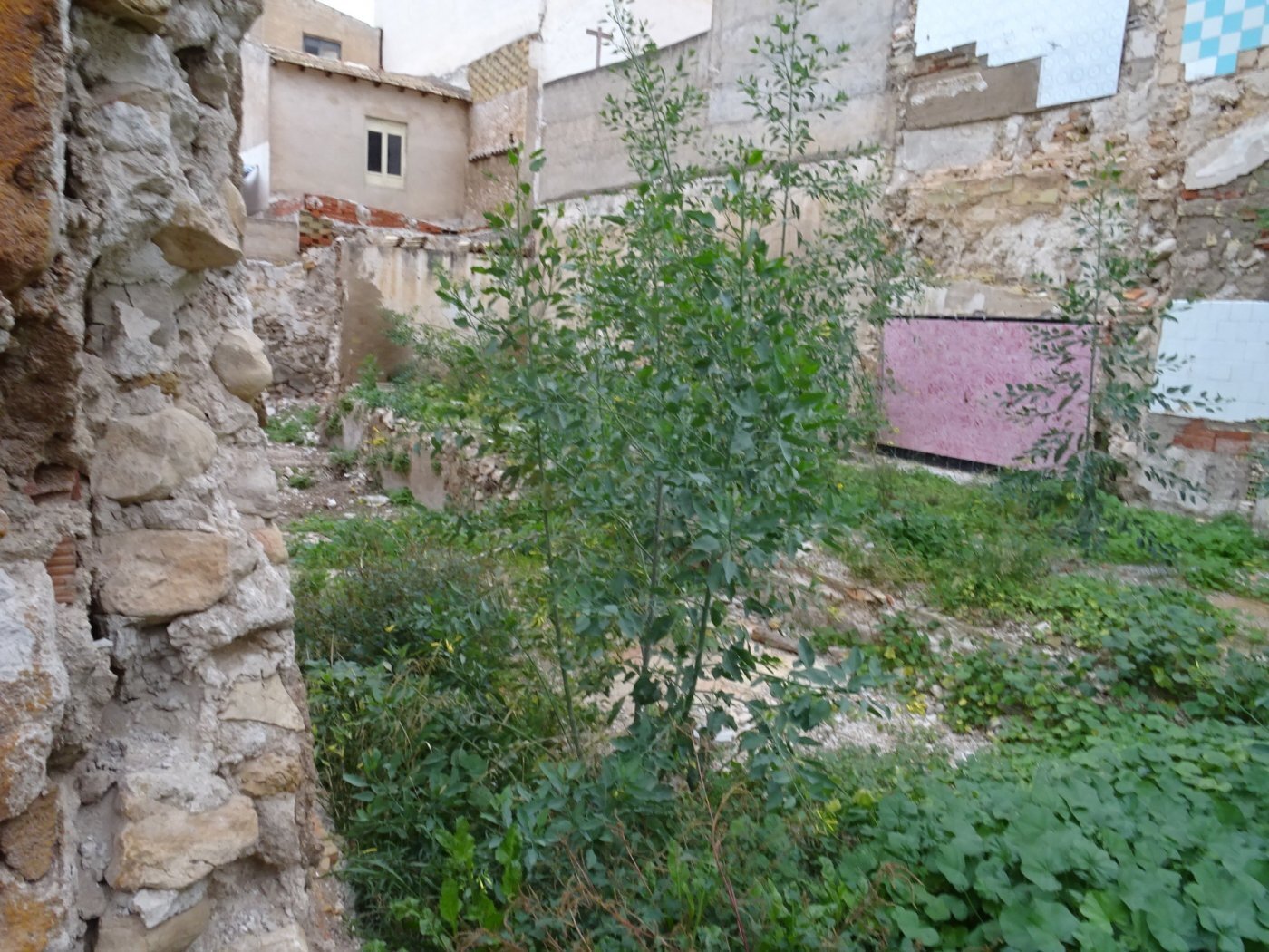 Land in Aspe, Alicante for sale Primary Photo- Image 1 of 5