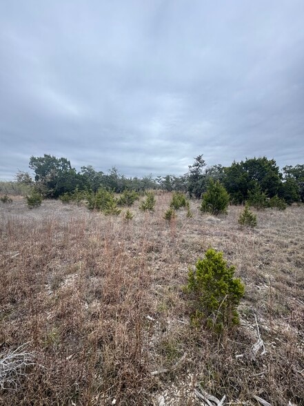 31858 Ranch Road 12, Dripping Springs, TX for sale - Building Photo - Image 2 of 12