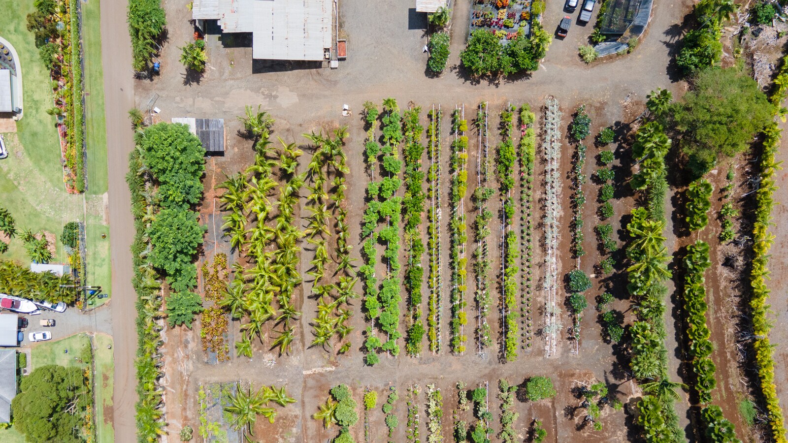 41711 Kaulukanu St, Waimanalo 96795 Land for Sale