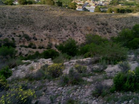Land in Alguazas, Murcia for sale - Aerial - Image 1 of 9
