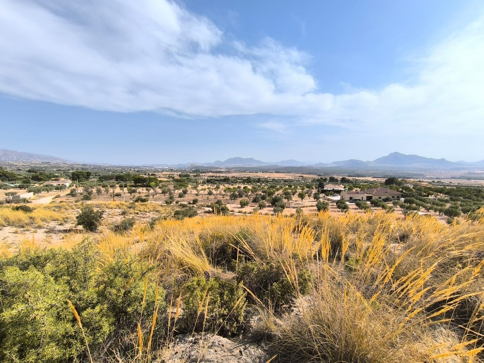 Land in Sax, Alicante for sale Primary Photo- Image 1 of 7