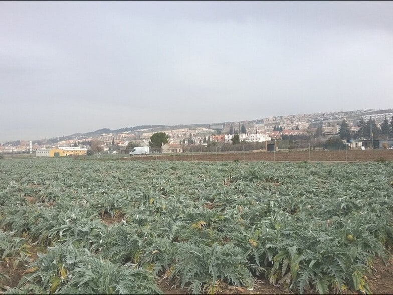 Land in Granada, Granada for sale - Building Photo - Image 2 of 9