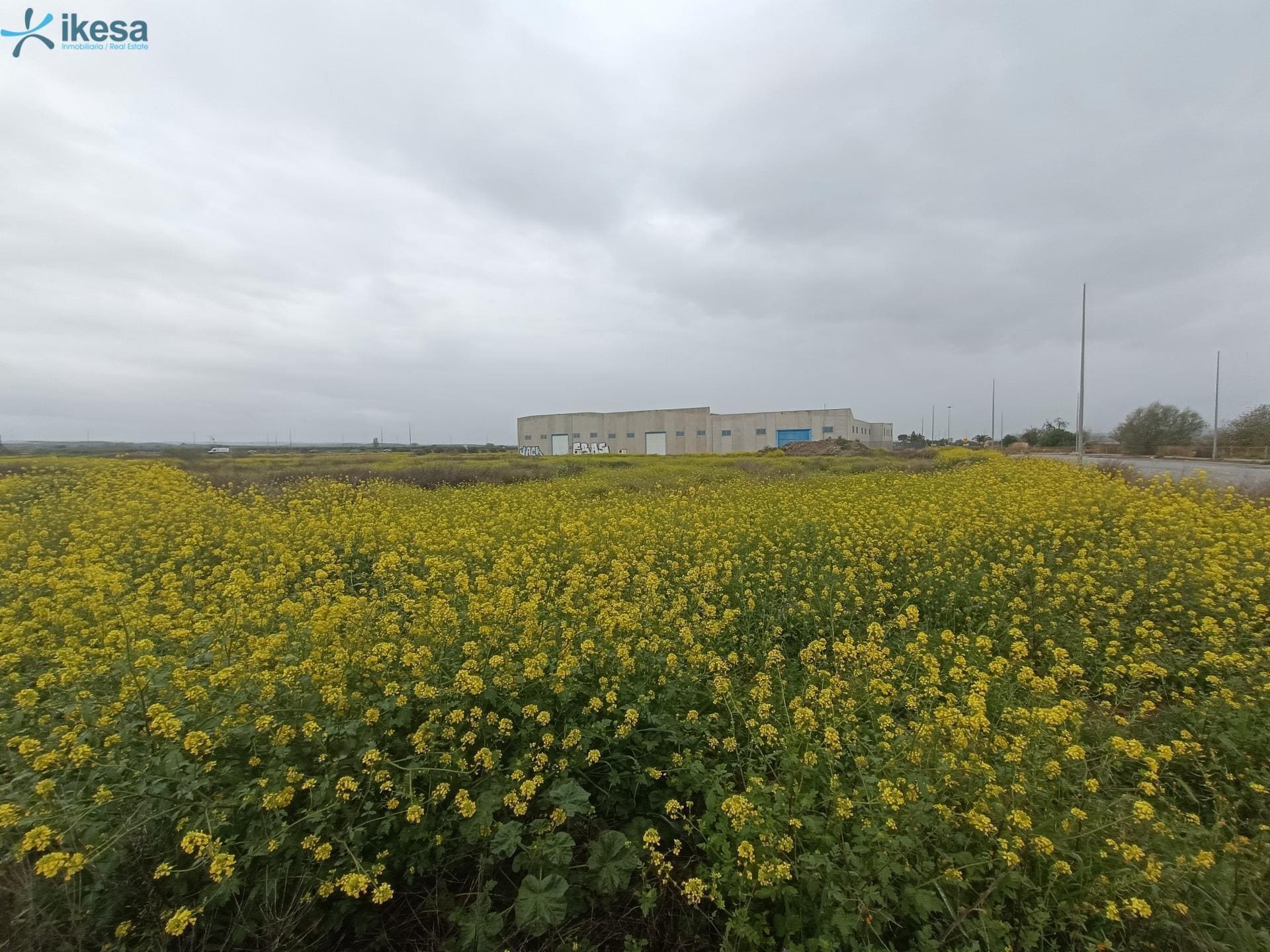 Industrial in Chauchina for sale Building Photo- Image 1 of 20