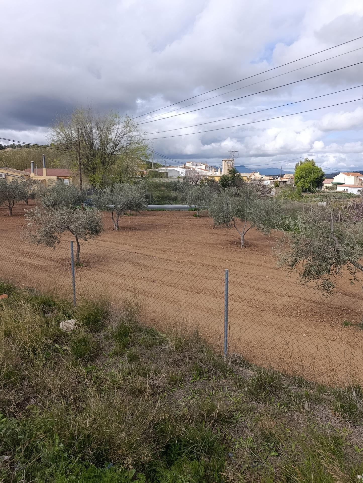 Land in Bullas, Murcia for sale Site Plan- Image 1 of 8