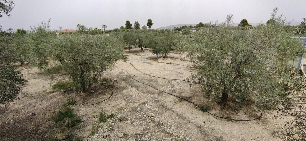 Land in Calasparra, Murcia for sale - Building Photo - Image 2 of 19