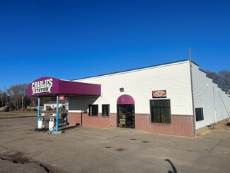 More details for 1734 Highway 11, Elba, NE - Retail for Sale