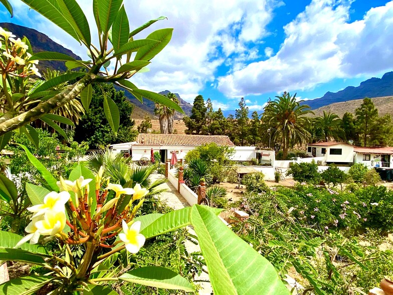 Hospitality in San Bartolomé de Tirajana, Las Palmas for sale - Primary Photo - Image 1 of 8