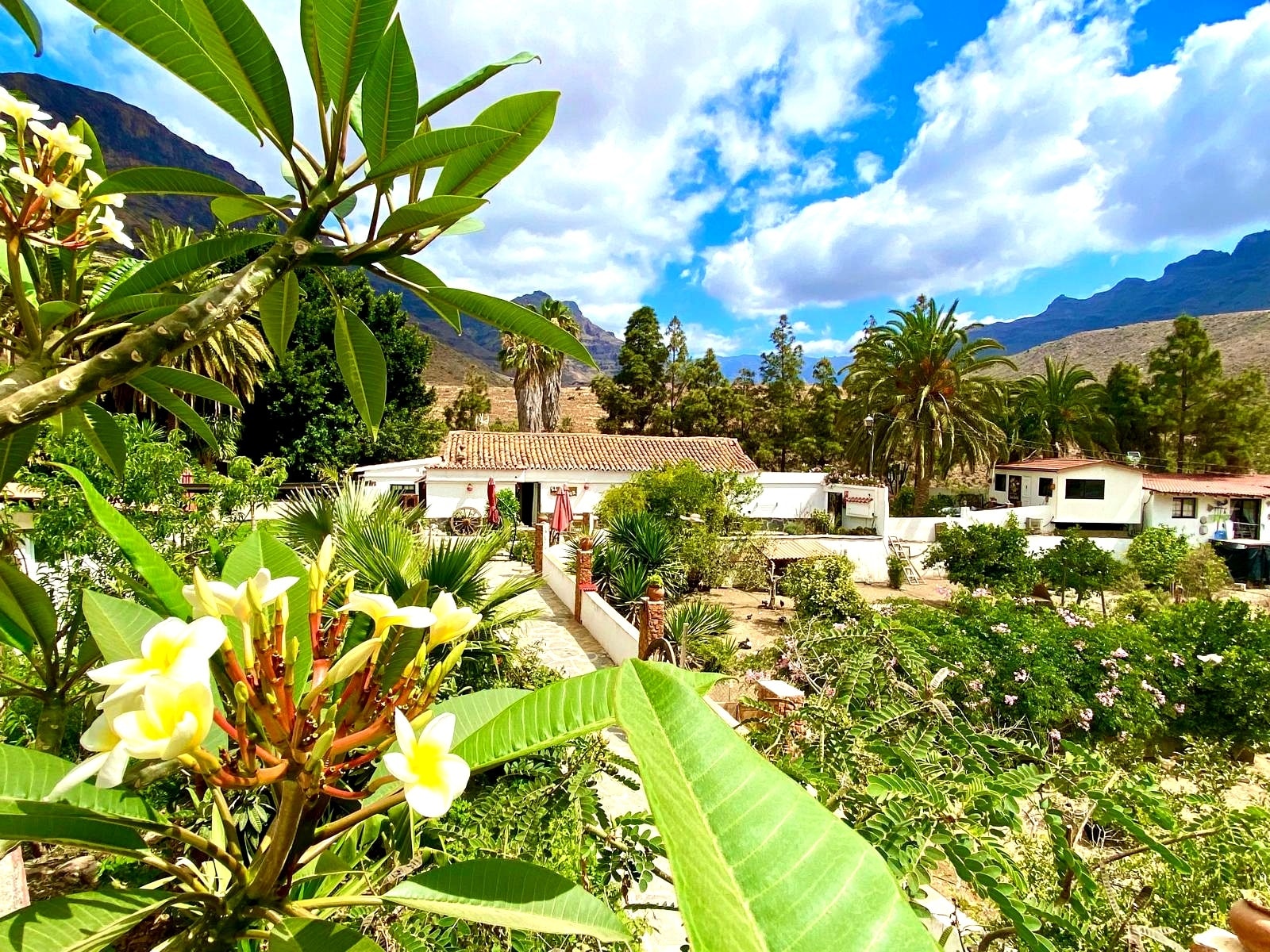 Hospitality in San Bartolomé de Tirajana, Las Palmas for sale Primary Photo- Image 1 of 9