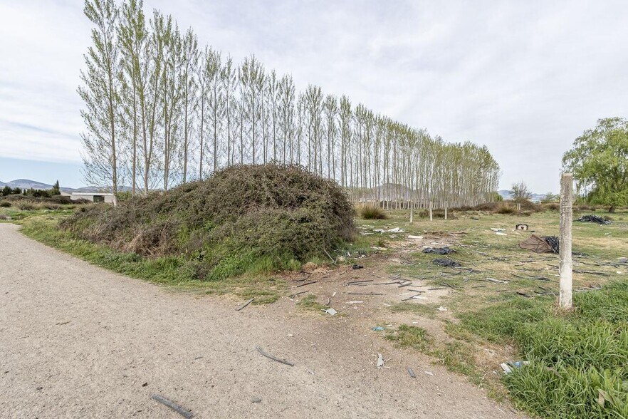 Fogariles, Fuente Vaqueros, Granada for sale - Building Photo - Image 3 of 12