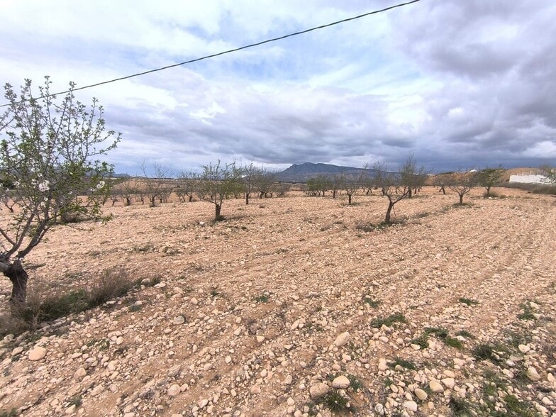 Land in Yecla, Murcia for sale - Site Plan - Image 2 of 4