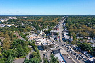 55 Northern Blvd, Great Neck, NY - AERIAL  map view