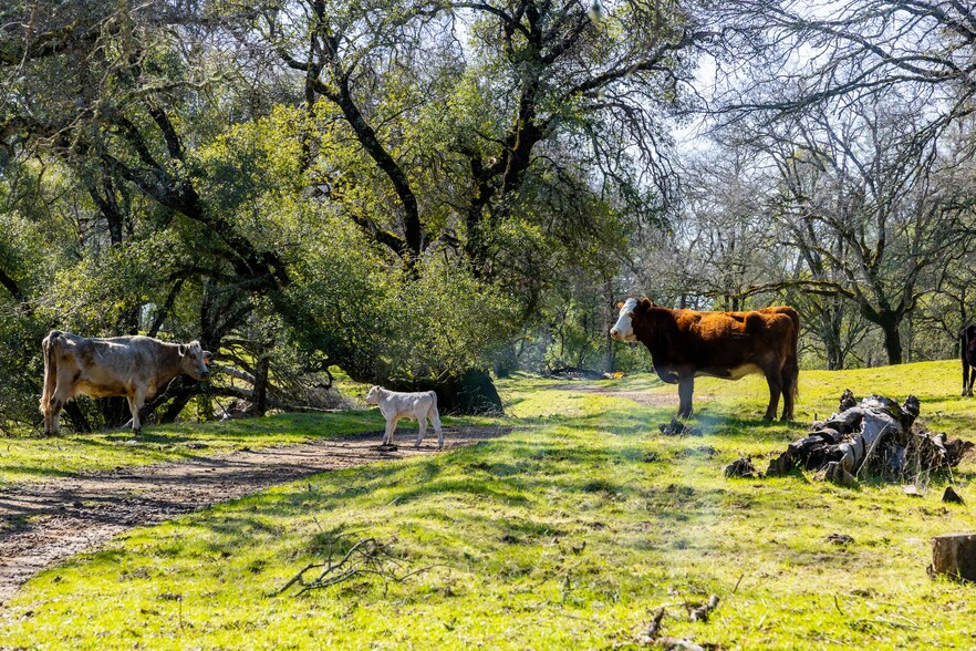 660 Sand Ridge Rd, El Dorado, CA for sale - Building Photo - Image 3 of 37