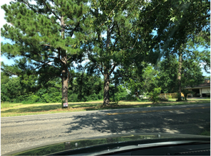 505 Yacht Club Rd, Oak Point, TX for sale Primary Photo- Image 1 of 1