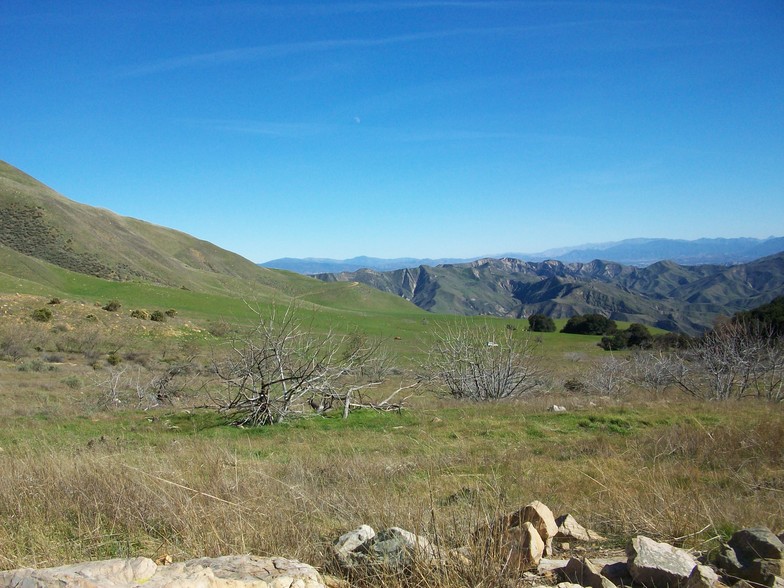 Land For Sale In Piru Ca