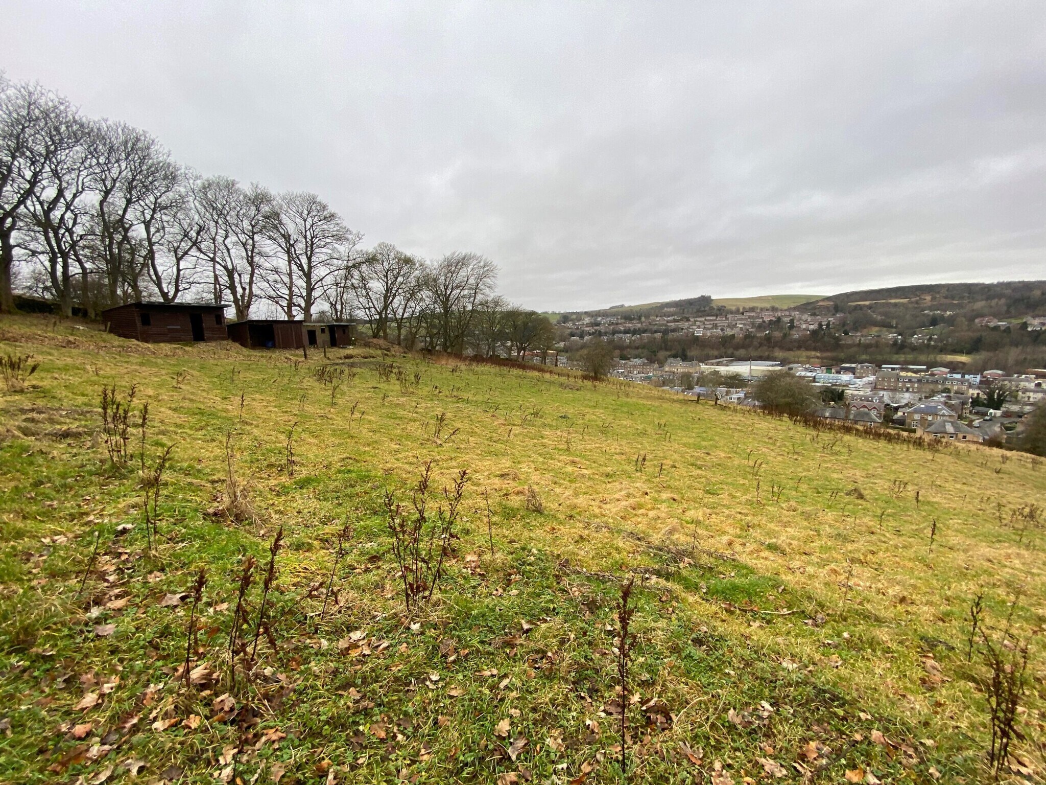 Leaburn Dr, Hawick for sale Other- Image 1 of 8