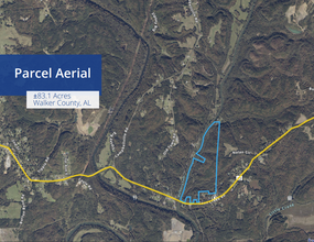 Coon Creek Road Rd, Sipsey, AL - aerial  map view