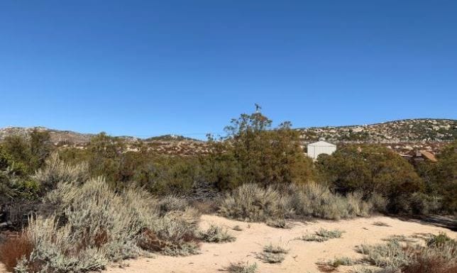 Old Highway 80, Pine Valley, CA for sale Primary Photo- Image 1 of 1