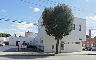 More details for 246 Mineola Blvd, Mineola, NY - Office, Office/Medical for Rent