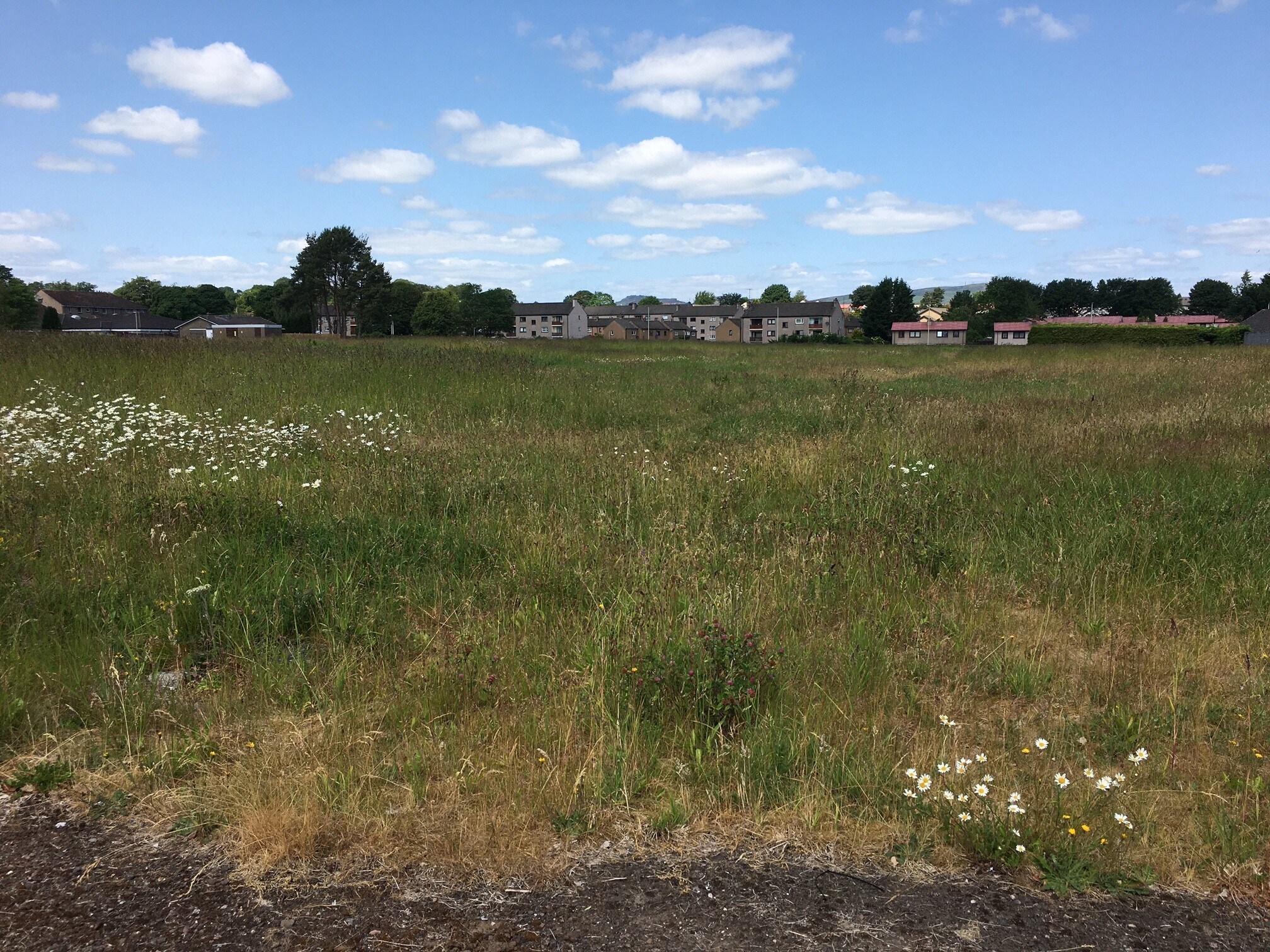 74 Garry Pl, Dundee for sale Other- Image 1 of 1