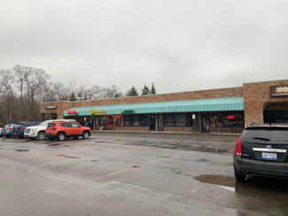 More details for 40320-40420 Five Mile Rd, Northville, MI - Retail for Rent