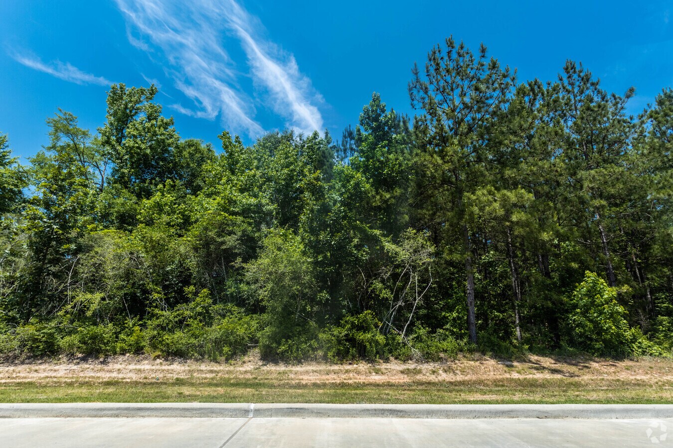 798 Fish Creek Thoroughfare, Montgomery 77316 Woodforest MD UK