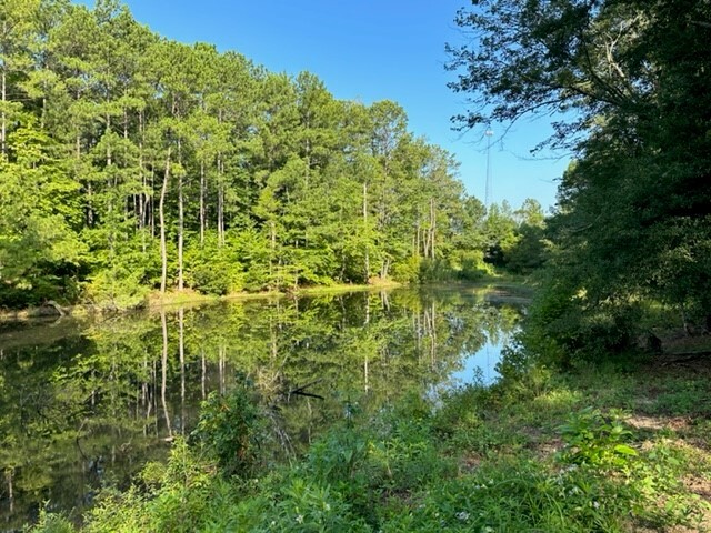 5400 AL Highway 128, Alexander City, AL for sale - Building Photo - Image 3 of 3