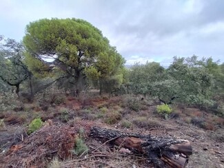 More details for Land for Sale