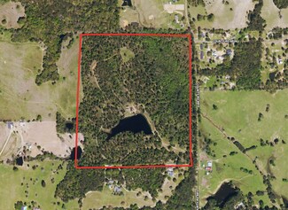 More details for 1394 County Road 4810, Ben Wheeler, TX - Land for Sale