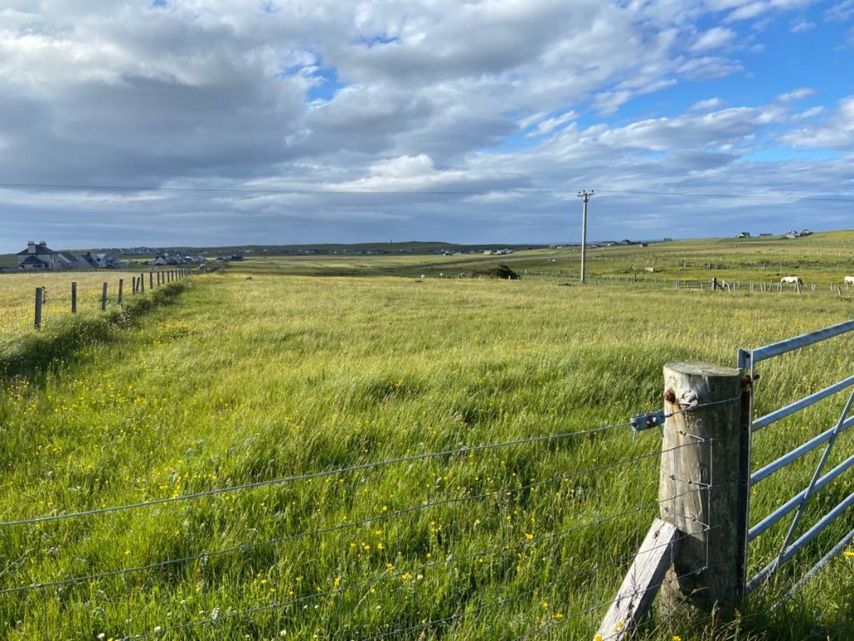 Croft 11 Lionel, Isle Of Lewis for sale Primary Photo- Image 1 of 1