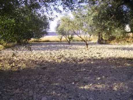 Land in Calasparra, Murcia for sale - Building Photo - Image 1 of 3