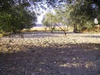 More details for Land for Sale