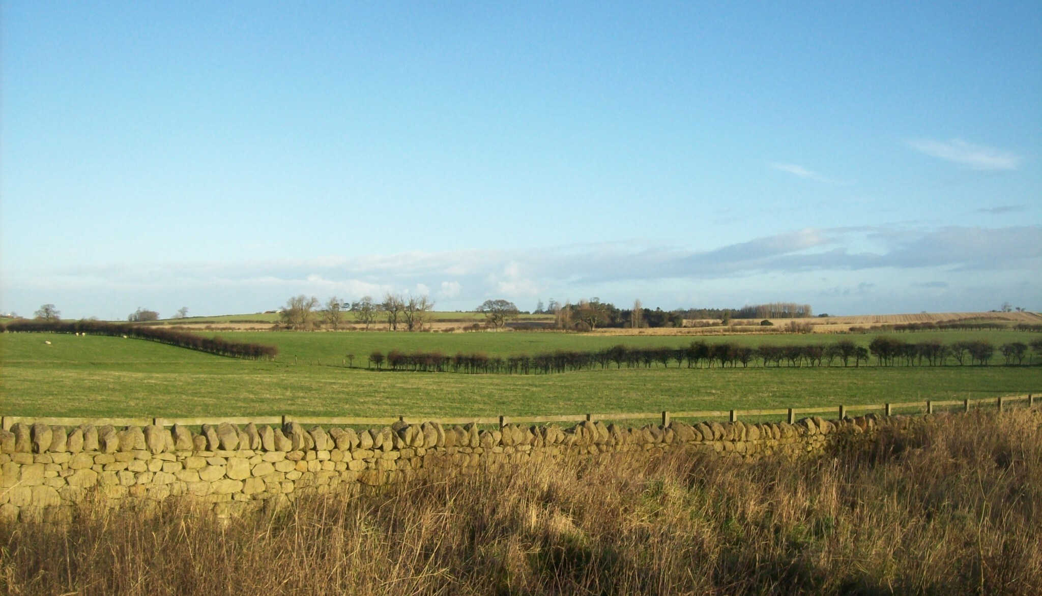 Warenford, Belford for sale Primary Photo- Image 1 of 1